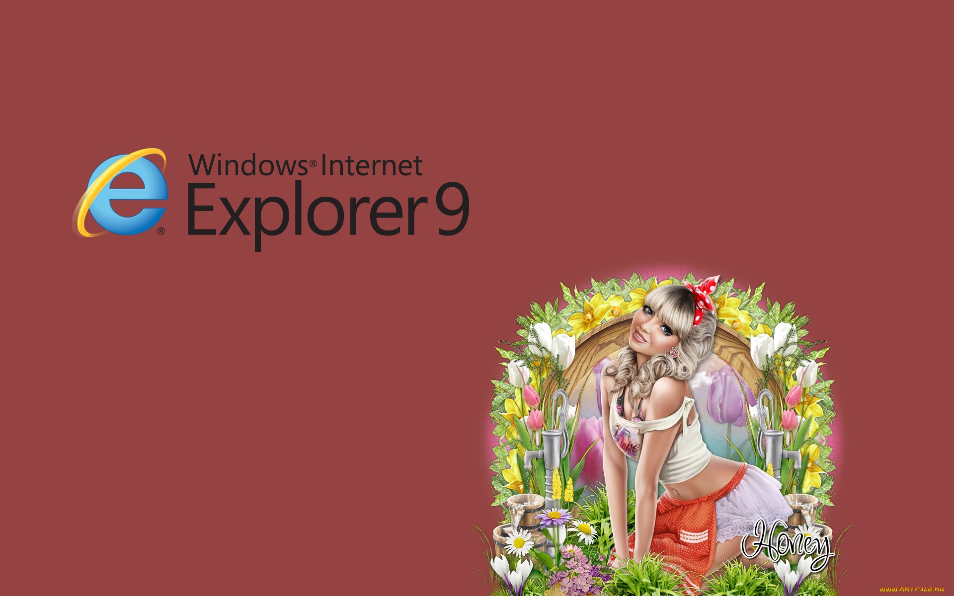 , internet explorer, , 